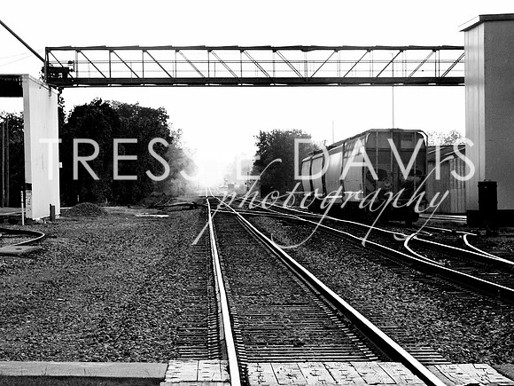Chelsea, MI